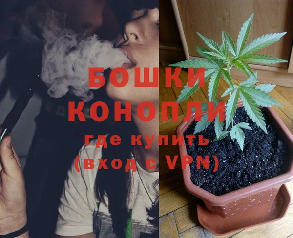 винт Богданович