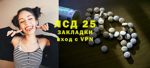 винт Богданович