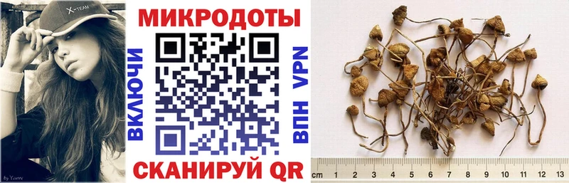 MEGA как войти  Полесск  Псилоцибиновые грибы ЛСД 